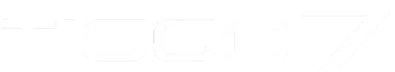 logo tiggo7 simplu 768x72 1