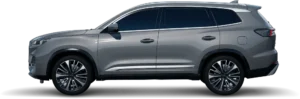car1 silver 300x99